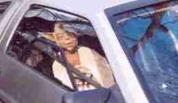 My Driving Companion - click for more pix